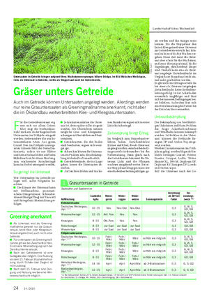 PFLANZE Landwirtschaftliches Wochenblatt Gräser unters Getreide Auch im Getreide können Untersaaten angelegt werden.