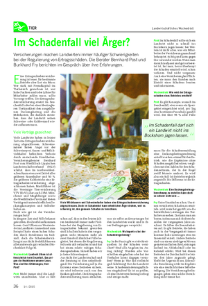 TIER Landwirtschaftliches Wochenblatt Im Schadenfall viel Ärger?