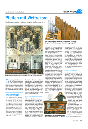 Landwirtschaftliches Wochenblatt NOTIZEN VOR ORT Trotz der Klaviaturtasten: Orgeln sind Blasinstrumente, sogenannte „Aerophone“.
