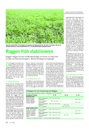 PFLANZE Landwirtschaftliches Wochenblatt Roggen früh stabilisieren Roggen reagiert schnell mit Mindererträgen auf einen zu intensiven Einsatz von Wachstumsreglern.