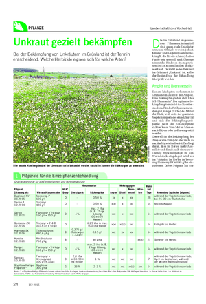 PFLANZE Landwirtschaftliches Wochenblatt Unkraut gezielt bekämpfen Bei der Bekämpfung von Unkräutern im Grünland ist der Termin entscheidend.