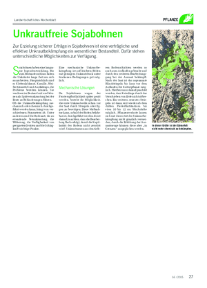 Landwirtschaftliches Wochenblatt PFLANZE 16 / 2015 Unkrautfreie Sojabohnen Zur Erzielung sicherer Erträge in Sojabohnen ist eine verträgliche und effektive Unkrautbekämpfung ein wesentlicher Bestandteil.