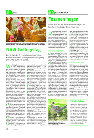 TIER NRW-Geflügeltag Das Verbot der Schnabelbehandlung ist das Hauptthema beim überregionalen Geflügeltag am 4.