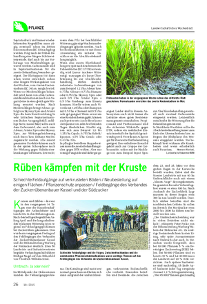PFLANZE Landwirtschaftliches Wochenblatt Septoriadruck und immer wieder- kehrenden Regenfällen muss zü- gig, eventuell schon im dritten Knotenstadium (EC 33) nachgelegt werden.