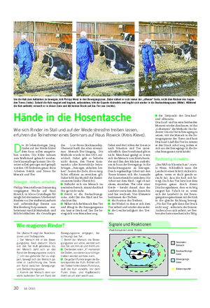 TIER Landwirtschaftliches Wochenblatt D ie 20 lebenslustigen Jung- rinder auf der Weide hinter dem Haus sollen umgetrie- ben werden.