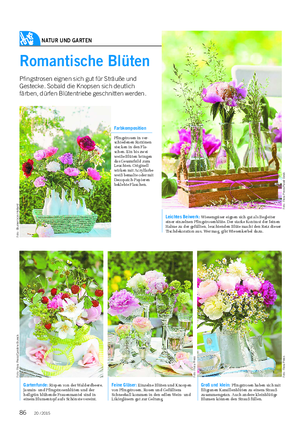 NATUR UND GARTEN Landwirtschaftliches Wochenblatt Romantische Blüten Pfingstrosen eignen sich gut für Sträuße und Gestecke.