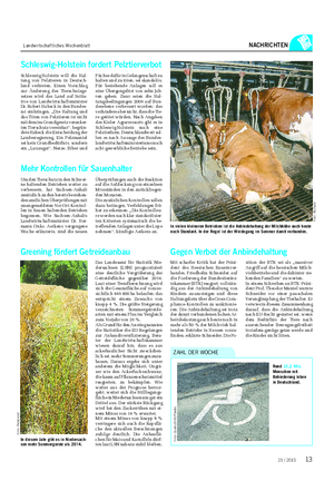 Landwirtschaftliches Wochenblatt NACHRICHTEN Greening fördert Getreideanbau Das Landesamt für Statistik Nie- dersachsen (LSN) prognostiziert eine deutliche Vergrößerung der Getreidefläche gegenüber 2014.