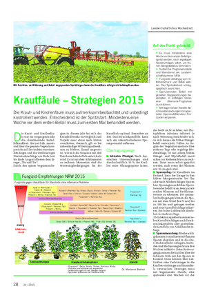 Landwirtschaftliches Wochenblatt D ie Kraut- und Knollenfäu- le war im vergangenen Jahr die dominierende Kartof- felkrankheit.