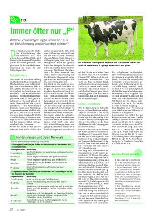 TIER Landwirtschaftliches Wochenblatt Immer öfter nur „P“ Welche Schlussfolgerungen lassen sich aus der Klassifizierung am Schlachthof ableiten?