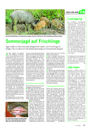 Landwirtschaftliches Wochenblatt WALD UND JAGD I m Mai beginnt die Jagdzeit für den Rehbock.