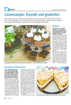 REZEPTE Landwirtschaftliches Wochenblatt F ot o: Jü ck er Das Rezept für die glutenfreien Brownies setzt Ulla Jücker vielseitig ein – auch als Tortenboden oder für Muffins.