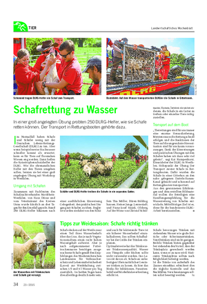 TIER Landwirtschaftliches Wochenblatt I m Normalfall haben Schafe und Schäfer wenig mit der Deutschen Lebens-Rettungs- Gesellschaft (DLRG) zu tun.