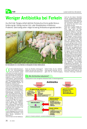 TIER Landwirtschaftliches Wochenblatt Ü ber den Antibiotika-Einsatz in der Schweinehaltung wird viel berichtet.
