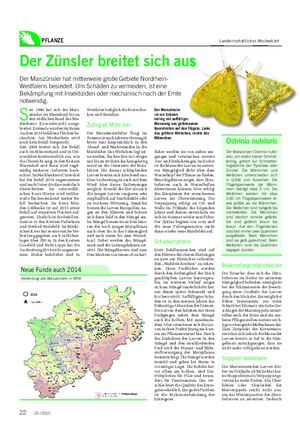 PFLANZE Landwirtschaftliches Wochenblatt Der Zünsler breitet sich aus Der Maiszünsler hat mittlerweile große Gebiete Nordrhein- Westfalens besiedelt.
