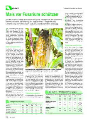 PFLANZE Landwirtschaftliches Wochenblatt Mais vor Fusarium schützen 2014 konnten in vielen Maisbeständen hohe Toxingehalte nachgewiesen werden.
