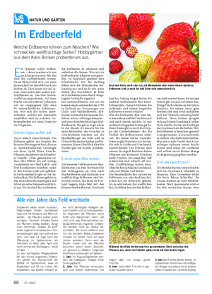 NATUR UND GARTEN Landwirtschaftliches Wochenblatt E in Sommer voller Erdbee- ren – daran werden wir uns noch lange erinnern!