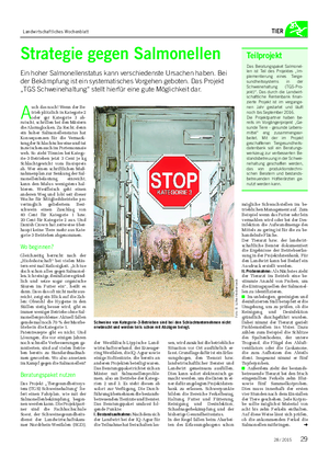 Landwirtschaftliches Wochenblatt TIER Strategie gegen Salmonellen Ein hoher Salmonellenstatus kann verschiedenste Ursachen haben.