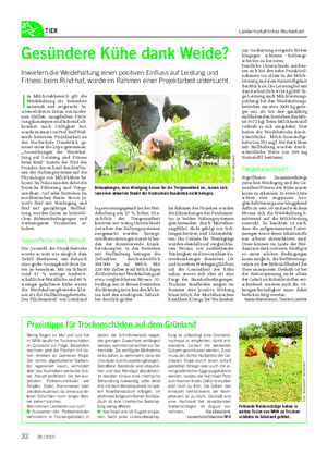 TIER Landwirtschaftliches Wochenblatt Gesündere Kühe dank Weide?