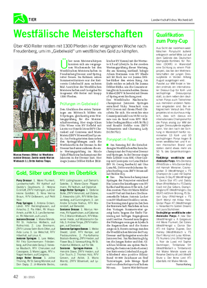 TIER Landwirtschaftliches Wochenblatt Westfälische Meisterschaften Über 450 Reiter reisten mit 1300 Pferden in der vergangenen Woche nach Freudenberg, um im „Giebelwald“ um westfälisches Gold zu kämpfen.