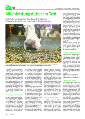 TIER I m Versuchs- und Bildungszen- trum Landwirtschaft Haus Riswick, Kleve, wurden in der Energetischen Futterwertprüfung zwölf Ergänzungsfuttermittel für Milchkühe geprüft.