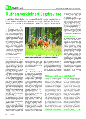 WALD UND JAGD Rüthen verkleinert Jagdreviere Im Wald der Stadt Rüthen gibt es zu viel Rotwild.