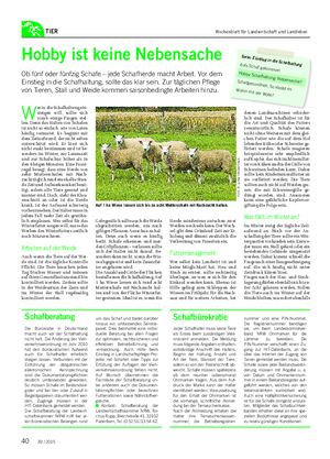 TIER Hobby ist keine Nebensache Ob fünf oder fünfzig Schafe – jede Schafherde macht Arbeit.