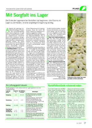 PFLANZE A ufgrund der günstigen tro- ckenen Witterung ist Fäulnis in den Kartoffelbeständen bisher kaum aufgetreten.