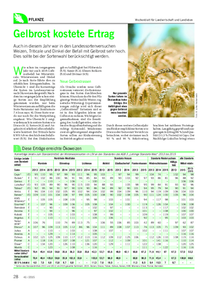 PFLANZE Gelbrost kostete Ertrag Auch in diesem Jahr war in den Landessortenversuchen Weizen, Triticale und Dinkel der Befall mit Gelbrost sehr hoch.