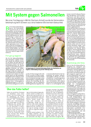 TIER Mit System gegen Salmonellen Bei einer Fachtagung in Wörlitz (Sachsen-Anhalt) wurde die Salmonellen- bekämpfung beim Schwein aus verschiedenen Blickwinkeln beleuchtet.