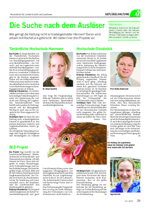 GEFLÜGELHALTUNG BLE-Projekt Das Projekt: Inga Garrelfs von der Landwirtschaftskammer Nieder- sachsen hat in ihrem Modell- und Demonstrationsvorhaben 225 000 Hennen im Visier.