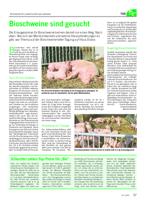 TIER Bioschweine sind gesucht Die Erzeugerpreise für Bioschweine kennen derzeit nur einen Weg: Nach oben.
