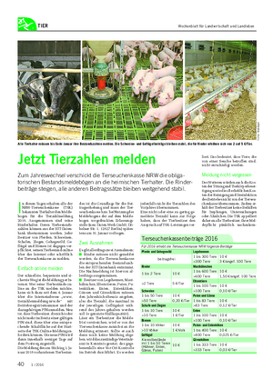 TIER I n diesen Tagen erhalten alle der NRW-Tierseuchenkasse (TSK) bekannten Tierhalter den Melde- bogen für die Tierzahlmeldung 2016.