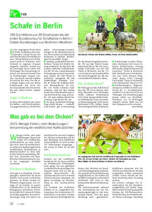 TIER I n der vergangenen Woche fand in Berlin im Rahmen der Inter- nationalen Grünen Woche die erste Bundesschau für Schafböcke statt.