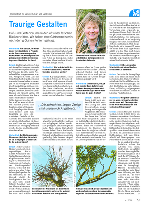 Wochenblatt: Frau Gerlach, im Winter zeigen viele Laubbäume in Privatgär- ten die Spuren von umfangreichen Rückschnitten.