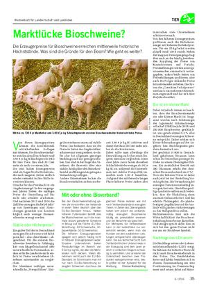 TIER Marktlücke Bioschweine?