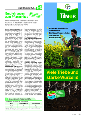 PFLANZENBAU AKTUELL Getreide – Windhalm ausschalten: Mit Beginn der nächsten Hochdruck- wetterlage sind die Bedingungen für Herbizidanwendungen im Ge- treide wieder gut.