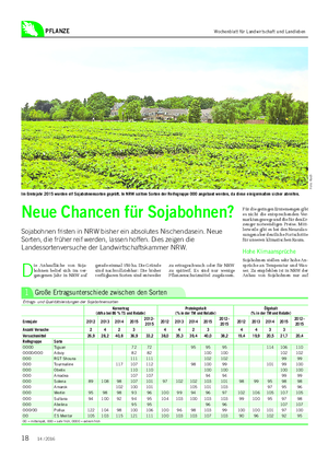 PFLANZE F ot o: K oc h Im Erntejahr 2015 wurden elf Sojabohnensorten geprüft.