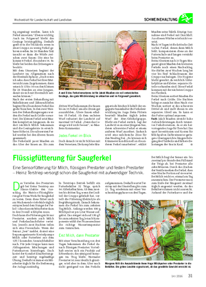 SCHWEINEHALTUNG D as Verteilen des Prestarters gab bei Heinz Terstriep aus Ahaus-Alstätte den Aus- schlag, die Nutrix+-Flüssigfütte- rung der Firma Weda für Saugferkel zu testen.