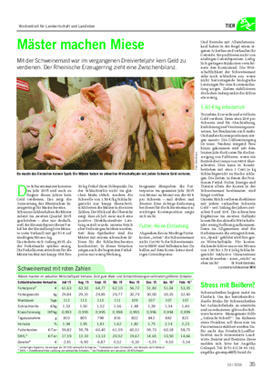 TIER D ie Schweinemäster konnten im Jahr 2015 und auch zu Beginn dieses Jahres kein Geld verdienen.