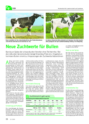 TIER A nfang April 2016 wurden die neuen Zuchtwerte für Holstein-Rinder durch das Rechenzentrum in Verden veröf- fentlicht.