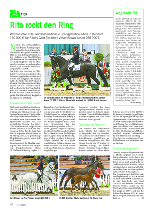TIER N eben den Elitekandidaten standen am Sonntag vergan- gener Woche acht bereits in- ternational erfolgreiche Pferde in Münster-Handorf zum Verkauf.