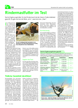 TIER I m Auftrag des Ver- eins Futtermittel- test (VFT) wurden von Oktober bis De- zember 2015 in NRW sechs Ergänzungsfut- ter für den Einsatz in der Rindermast be- probt, analysiert und bewertet.
