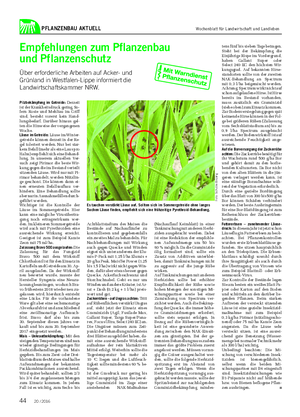 PFLANZENBAU AKTUELL Empfehlungen zum Pflanzenbau und Pflanzenschutz Über erforderliche Arbeiten auf Acker- und Grünland in Westfalen-Lippe informiert die Landwirtschaftskammer NRW.