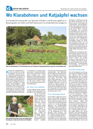 NATUR UND GARTEN Wo Klarabohnen und Katjaäpfel wachsen Ein buntes Durcheinander von Gemüse, Kräutern und Blumen gedeiht im Bauerngarten von Edith und Rolf Dieckmann im emsländischen Lengerich.