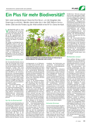 PFLANZE V ordergründig geht es beim Greening um den notwendi- gen Schutz bzw.
