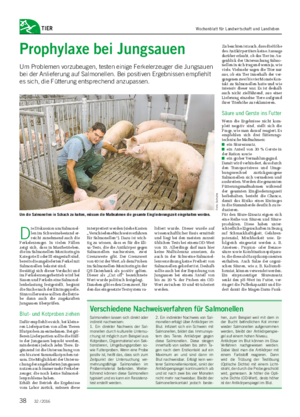 TIER D ie Diskussion um Salmonel- len im Schweinebestand er- reicht zunehmend auch die Ferkelerzeuger.