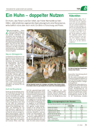 TIER Ein Huhn – doppelter Nutzen Ein Huhn, das Fleisch und Eier liefert, war früher Normalität auf den Höfen.