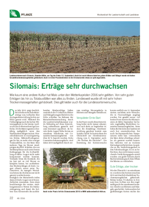 Wochenblatt für Landwirtschaft und LandlebenPFLANZE Landessortenversuch Silomais, Standort Milte, am Tag der Ernte (12.