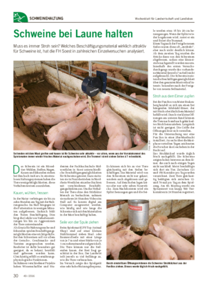 Wochenblatt für Landwirtschaft und LandlebenSCHWEINEHALTUNG Schweine bei Laune halten Muss es immer Stroh sein?