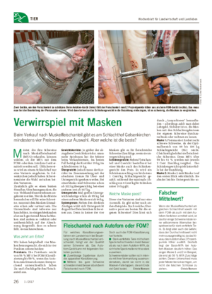 Wochenblatt für Landwirtschaft und LandlebenTIER Verwirrspiel mit Masken Beim Verkauf nach Muskelfleischanteil gibt es am Schlachthof Gelsenkirchen mindestens vier Preismasken zur Auswahl.